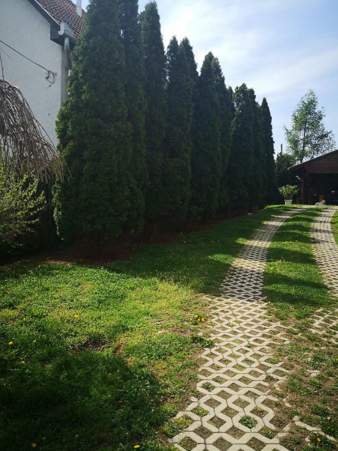 אגרסאלוק Berc Apartman מראה חיצוני תמונה